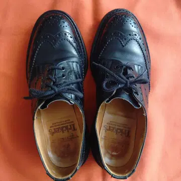 트리커스 버튼 세븐 하프 블랙