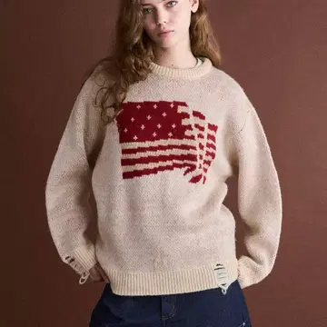 WISH FOR EVERDAMAGE 플래그 니트 데미지 플래그 니트