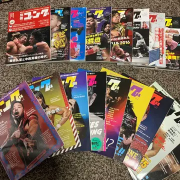 신장간 공 링 프로레슬링 잡지 17권 세트