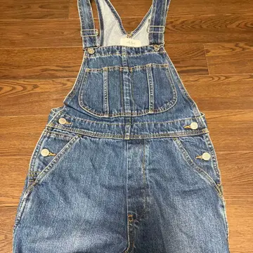 Mila Owen 살롱 반려동물