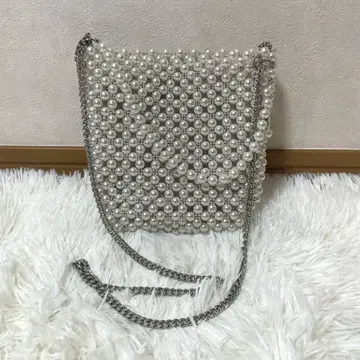 ZARA 펄백 숄더백
