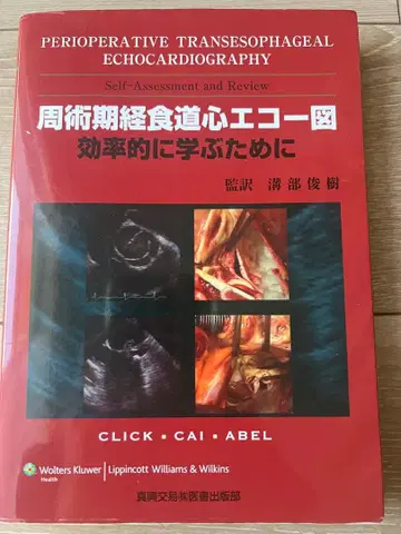 술기 시기 식도 통과 심장 초음파 효율적으로 배우기 위해