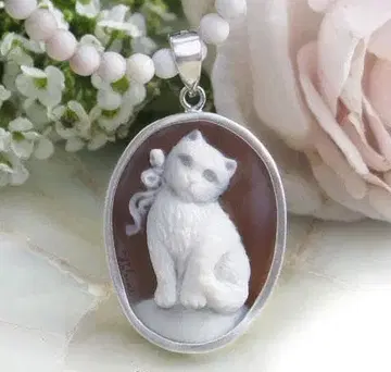 새상품 갈리오네 씨 쉘 카메오 펜던트 탑 [귀여운 리본 새끼 고양이]