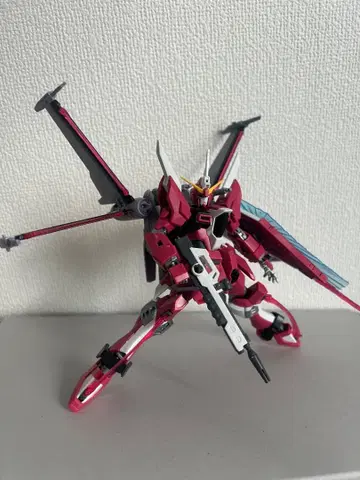 인피니트 저스티스 니시키 hg