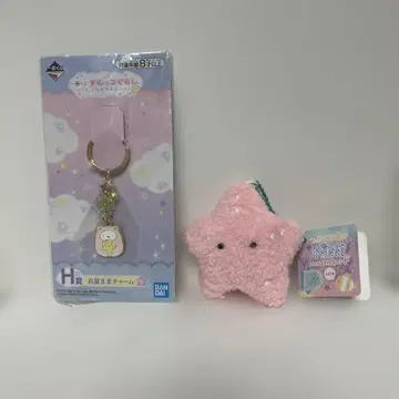 스미코구라시 별님 참과 동그란 눈의 수족관 참