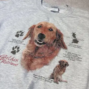 [ GILDAN ] 골든 리트리버 애니멀 맨투맨 그레이