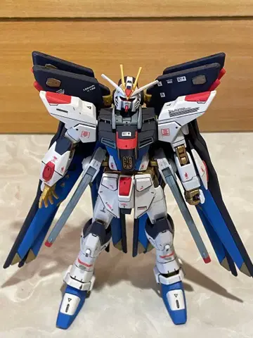 hg 스트라이크 프리덤 건담 완성품 건담 프라모델