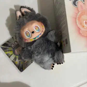 러브브 에너지 시크릿