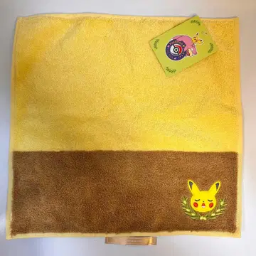 포켓몬 센터 카가와 타월 이마바리 타월 피카츄