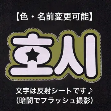 네임보드 SEVENTEEN 세븐틴 캐럿 호시 한글 네임보드