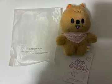 한쿼카 10cm  팬미팅