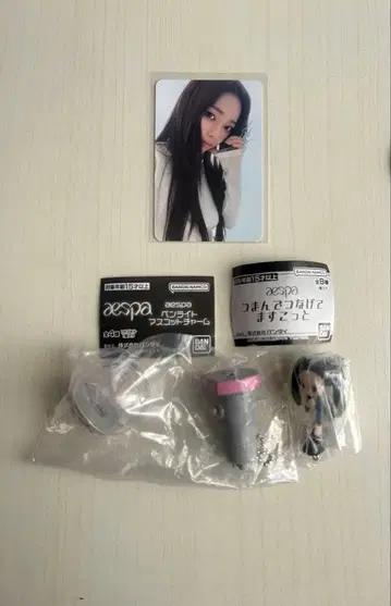 aespa KARINA 캡슐 토이 세트
