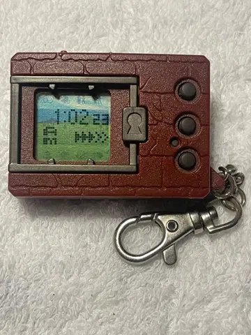 디지털 반려동물 브라운