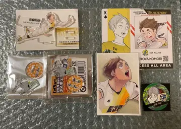 하이큐 코모리 모토야