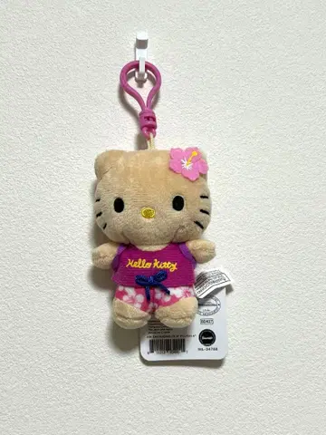 하와이 키티 다이아몬드 헤드