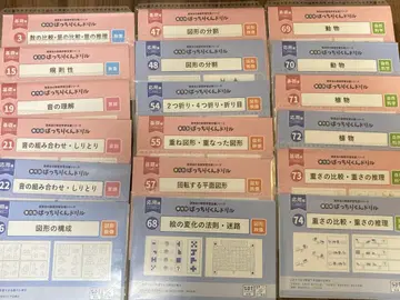 리영회 배치리군 드릴 낱개 판매 가능