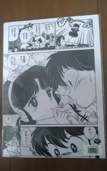 란마 1/2 란마 카페 란마 아카네 클리어 파일