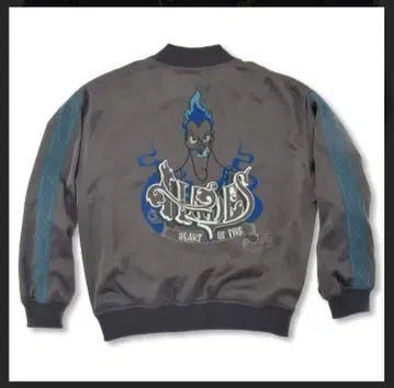 하데스 블루종 그레이 디즈니 스토어 완판템