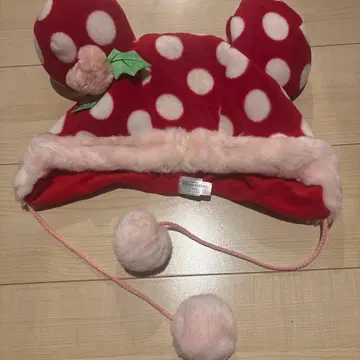 디즈니 팬캡 크리스마스 미니 2010