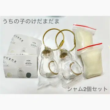 우리 아이 털뭉치 시암 2세트