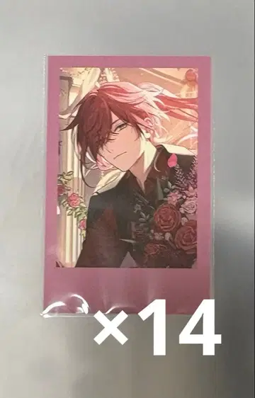 니지산지 로렌 폴라로이드 벌스데이 2025