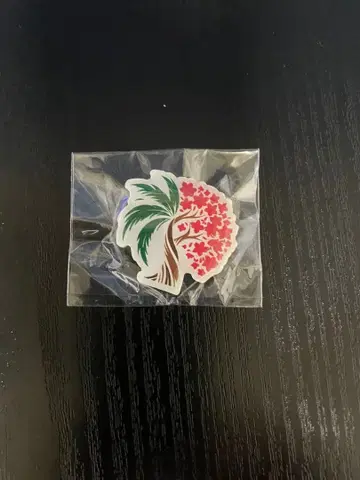 꽃과 야자수 디자인 사우디아라비아 내셔널데이 한정판 핀배지