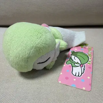 초레어 포켓몬 센터 한정판 서나이트 흐물흐물 봉제 인형 굿나잇 ver.