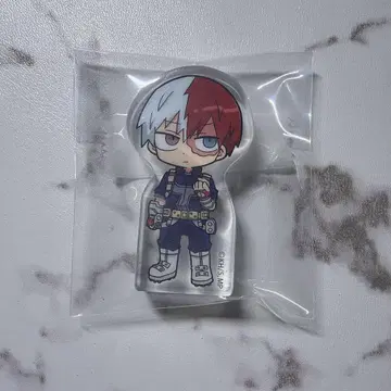 히로아카 코롯토 토도로키 쇼토