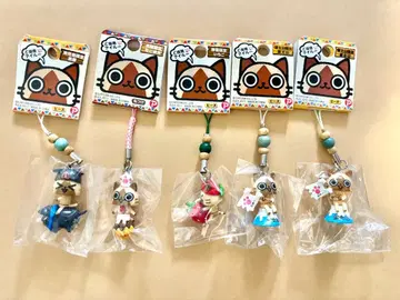 지역 한정 아이루 키링 5개 세트