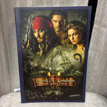 캐리비안의 해적 데드맨즈 체스트 팜플렛