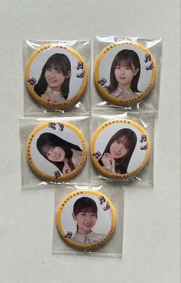 히나타자카46 5번째 히나탄탄사이 캔뱃지 묶음 판매입니다.