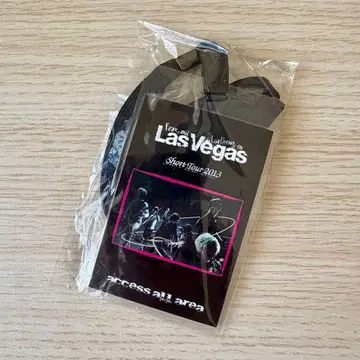 미개봉 Fear, and Loathing in Las Vegas 패스