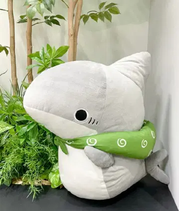 외출 아기 상어 초 BIG 봉제 인형