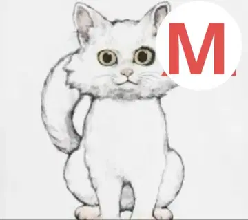 히구치 유코 그라니프 스즈메의 문단속 M 사이즈 새상품