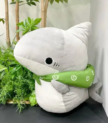 외출 아기 상어 초 BIG 봉제 인형