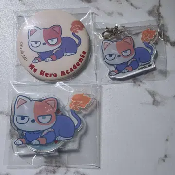 히로아카 애니멀 토도로키 쇼토 숏캣 아크릴 스탠드, 캔뱃지, 아크릴 키링