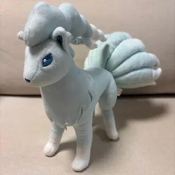 알로라 큐콘 봉제 인형 포켓몬 센터 레어