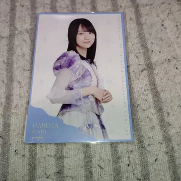 카키 하루카 엽서 쿠보 졸업 콘서트 노기자카46