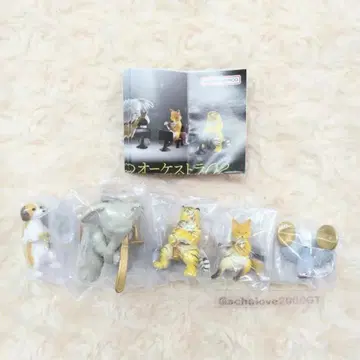 동물 오케스트라 02 전 5종 풀 컴프