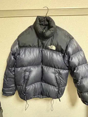 THE NORTH FACE 그레이 다운 자켓