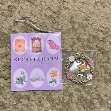 파스칼 시크릿 참