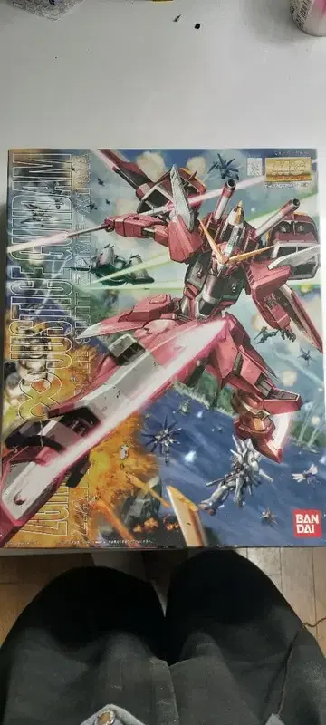 MG 인피니트 저스티스 건담 BANDAI 건담 프라모델