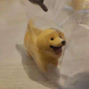 가챠가챠 [ 좋은 느낌의 막대를 겟한 개 ] 골든 리트리버 5마리 세트