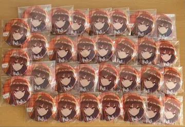 컬러풀 피치 파라피치 캔뱃지 에토 31개