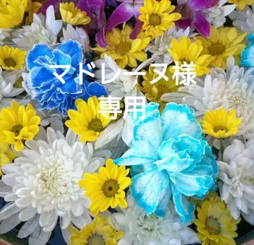 이부시키 기모노 (이중 기모노)