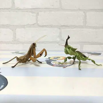 고스트 맨티스 그린 히시무네카레하카마키리 2체 세트