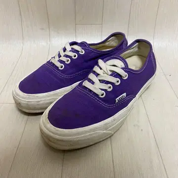 VANS MTE Authentic Reissue 44 24cm