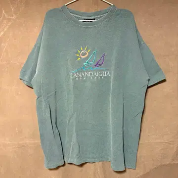 TECHSTYLES CANANDAIGUA NEW YORK 티셔츠