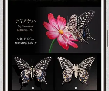 생물대도감 어드밴스 호랑나비 나비호랑나비 온라인판