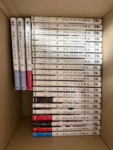 문호 스트레이독스 코믹스, 소설 세트